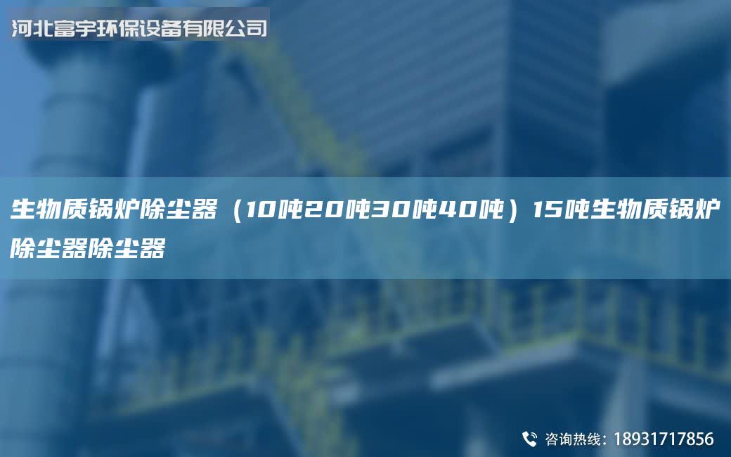 生物质锅炉除尘器（10吨20吨30吨40吨）15吨生物质锅炉除尘器除尘器