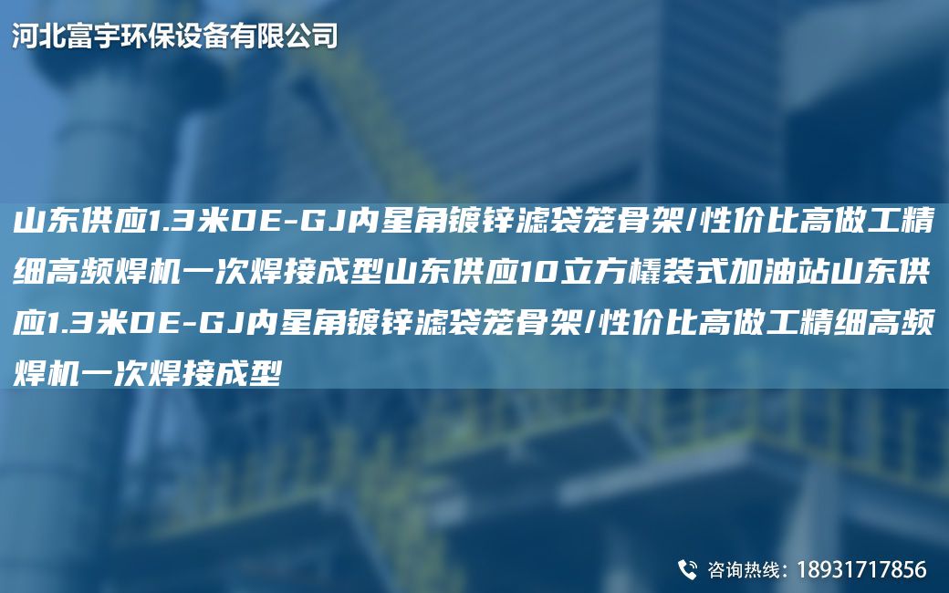 山东供应1.3米DE-GJ内星角镀锌滤袋笼骨架/性价比高做工精细高频焊机一次焊接成型山东供应10立方橇装式加油站山东供应1.3米DE-GJ内星角镀锌滤袋笼骨架/性价比高做工精细高频焊机一次焊接成型