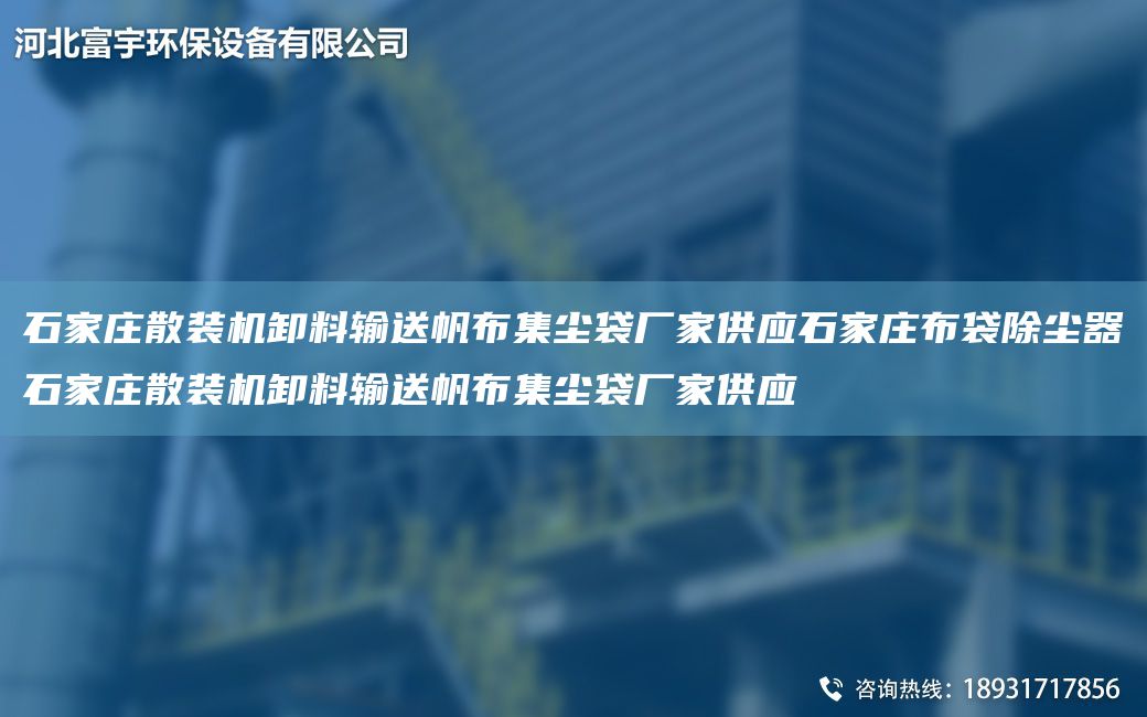 石家庄散装机卸料输送帆布集尘袋厂家供应石家庄布袋除尘器石家庄散装机卸料输送帆布集尘袋厂家供应