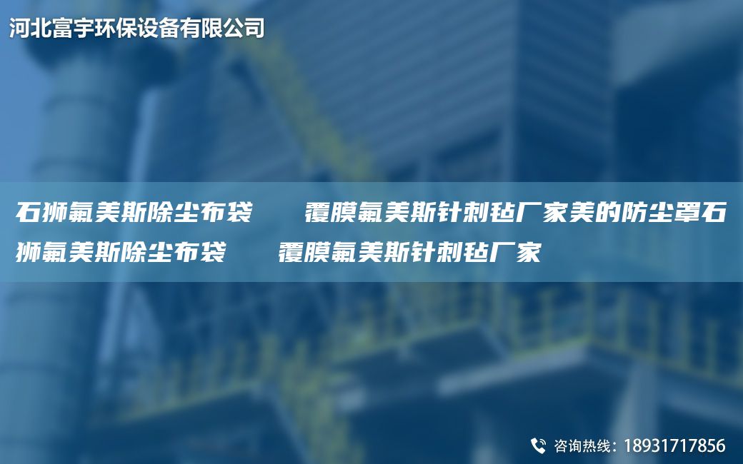 石狮氟美斯除尘布袋   覆膜氟美斯针刺毡厂家美的防尘罩石狮氟美斯除尘布袋   覆膜氟美斯针刺毡厂家