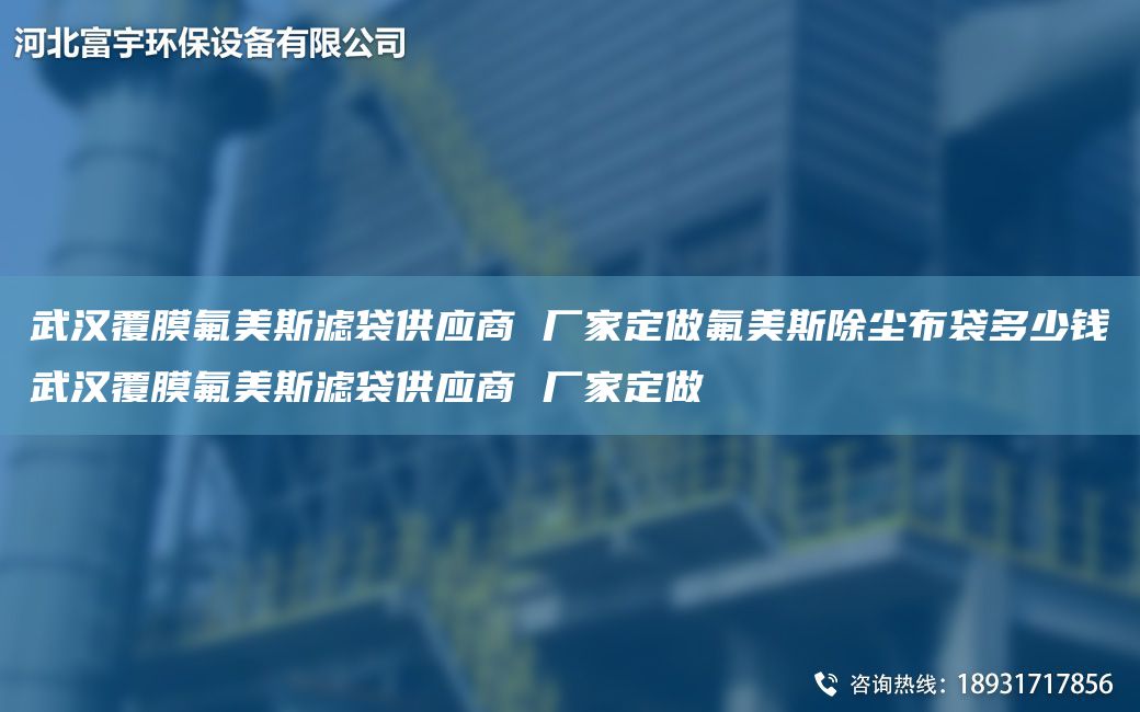 武汉覆膜氟美斯滤袋供应商 厂家定做氟美斯除尘布袋多少钱武汉覆膜氟美斯滤袋供应商 厂家定做