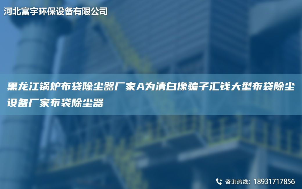 黑龙江锅炉布袋除尘器厂家A为清白像骗子汇钱大型布袋除尘设备厂家布袋除尘器