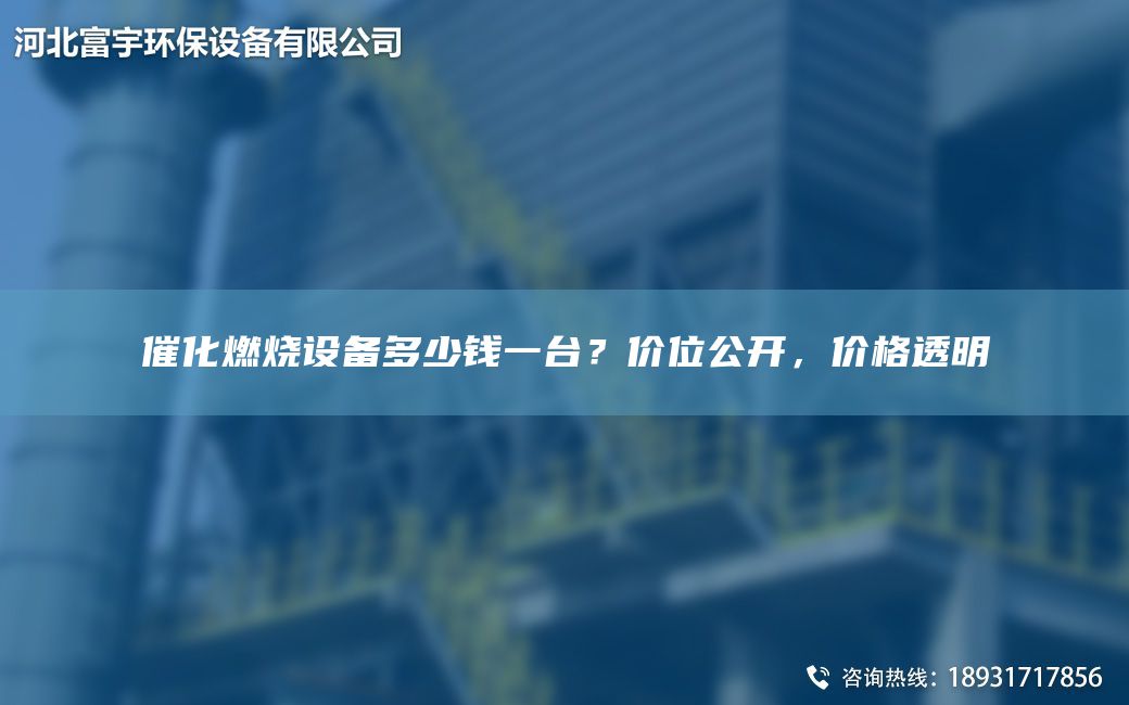 催化燃烧设备多少钱一TA-I？价位公开，价格透明