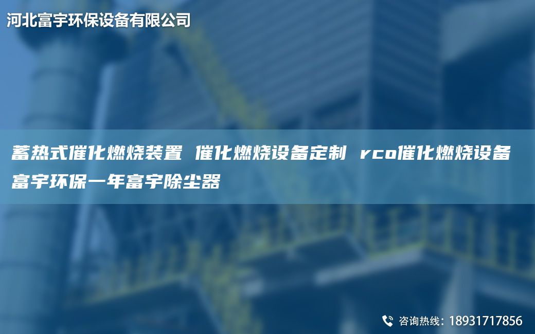 蓄热式催化燃烧装置 催化燃烧设备定制 rco催化燃烧设备 富宇环保一NA富宇除尘器