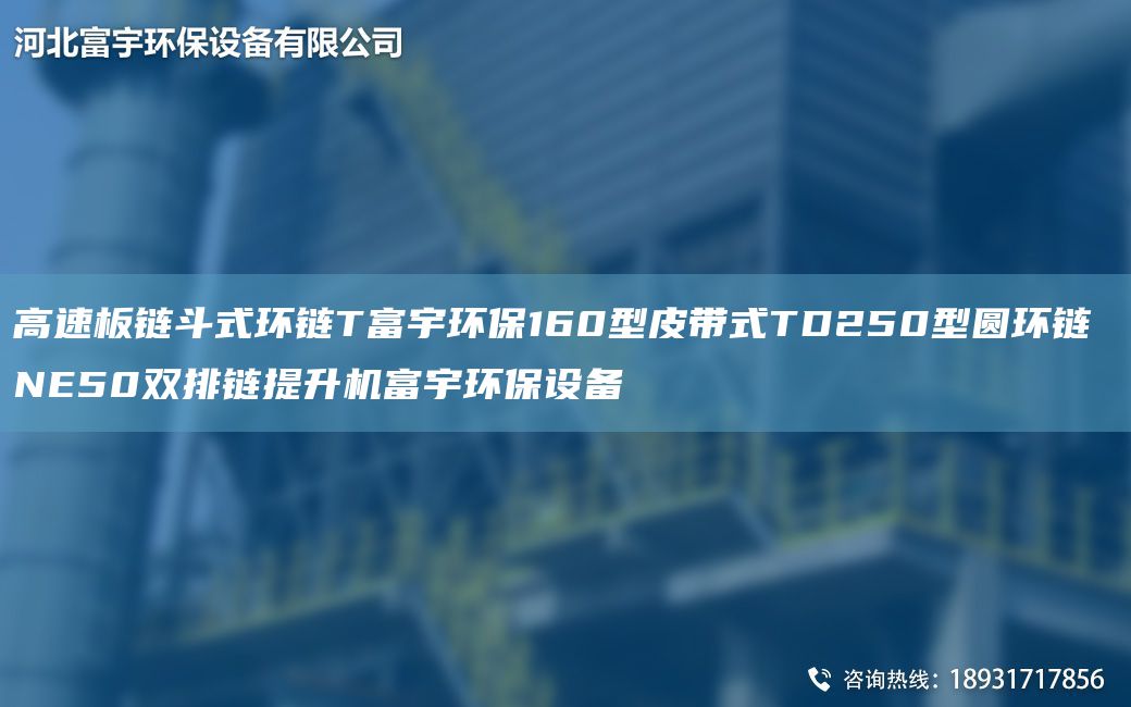 高速板链斗式环链T富宇环保160型皮带式TD250型圆环链 NE50双排链提升机富宇环保设备
