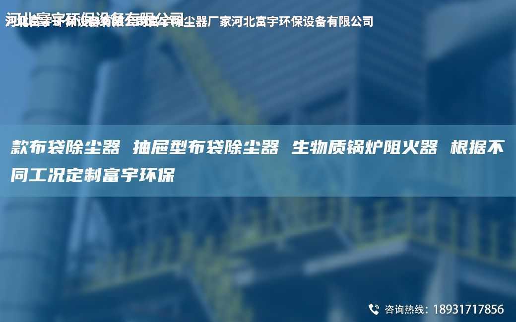 款布袋除尘器 抽屉型布袋除尘器 生物质锅炉阻火器 根据不同工况定制富宇环保