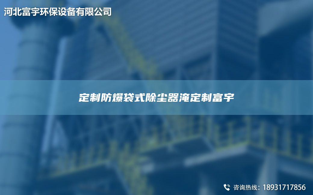 定制防爆袋式除尘器淹定制富宇
