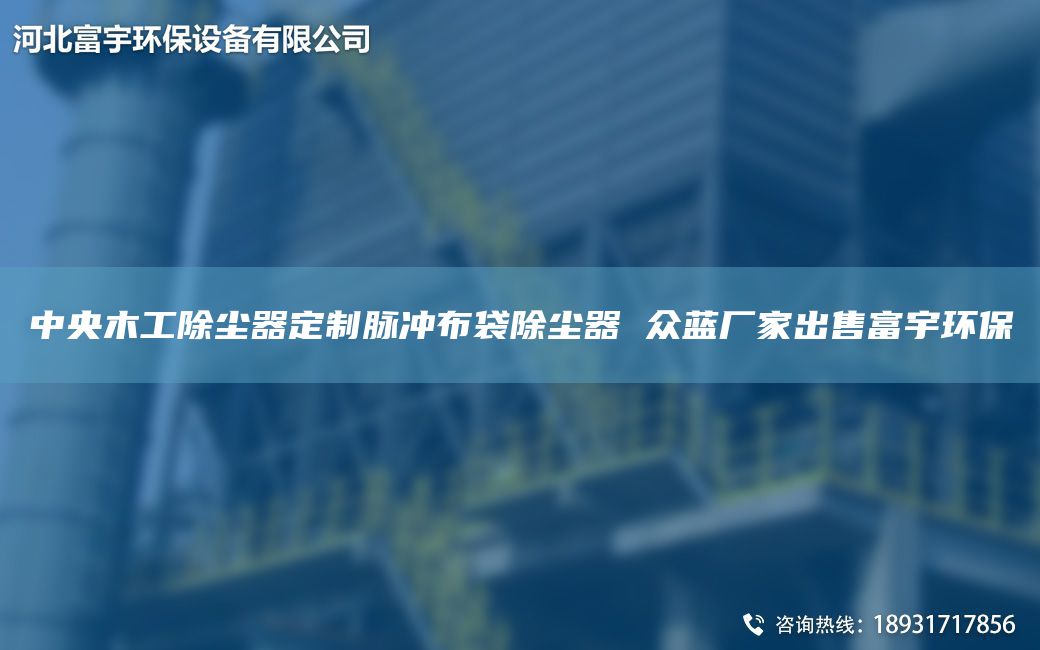 中央木工除尘器定制脉冲布袋除尘器 众蓝厂家出售富宇环保