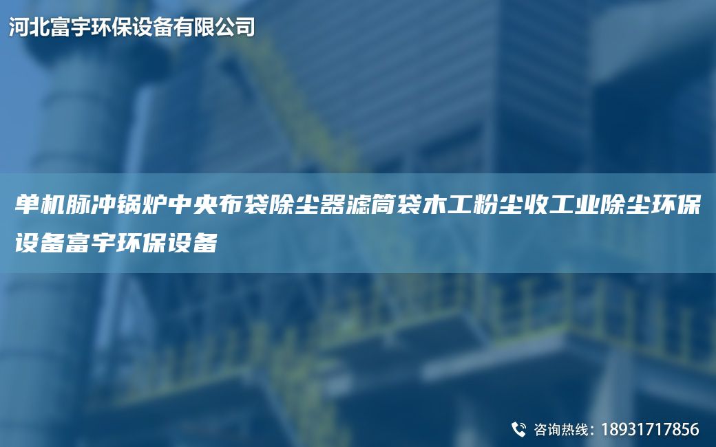 单机脉冲锅炉中央布袋除尘器滤筒袋木工粉尘收工业除尘环保设备富宇环保设备
