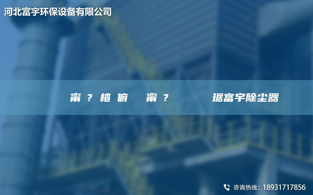 鎭掔洘闄ゅ皹甯冭? 楂樻俯闄ゅ皹甯冭? 闄ゅ皹鍣ㄥ竷琚富宇除尘器