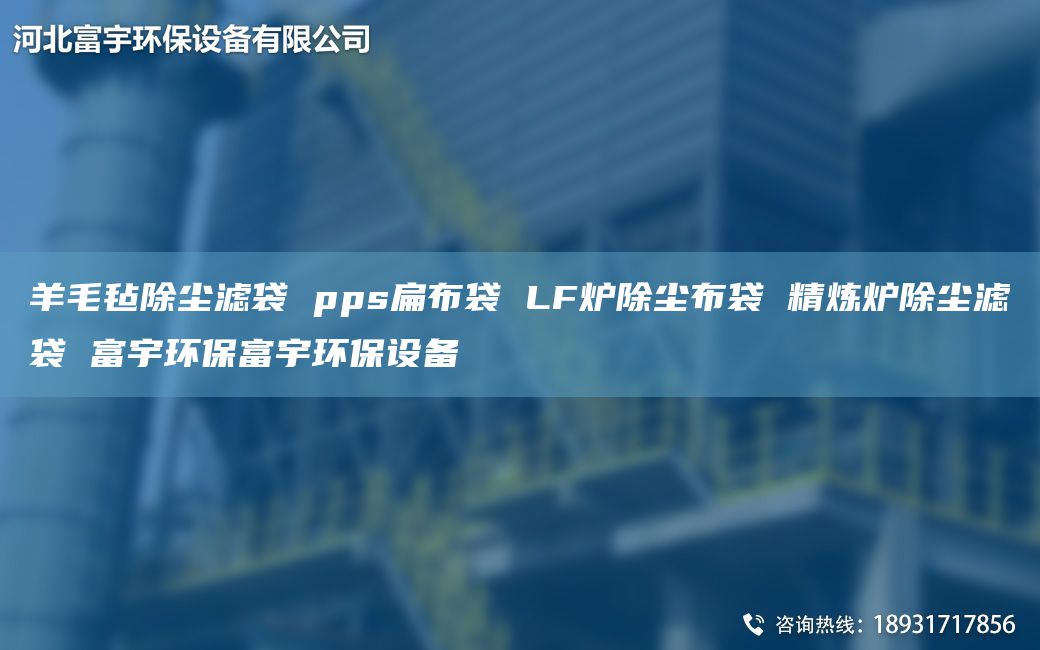 羊毛毡除尘滤袋 pps扁布袋 LF炉除尘布袋 精炼炉除尘滤袋 富宇环保富宇环保设备