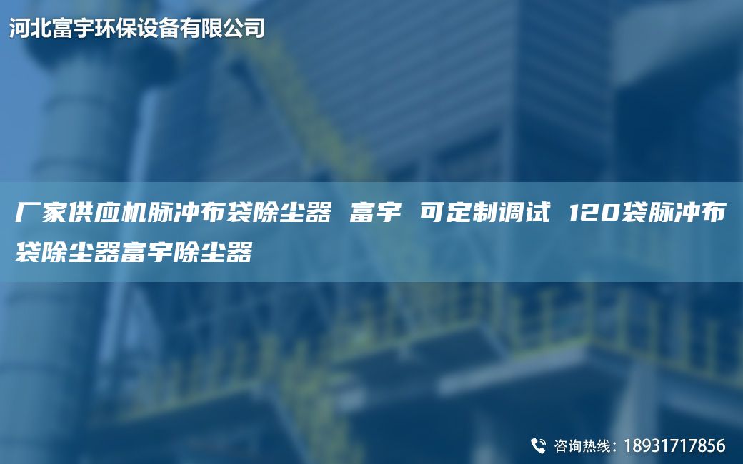 厂家供应机脉冲布袋除尘器 富宇 可定制调试 120袋脉冲布袋除尘器富宇除尘器