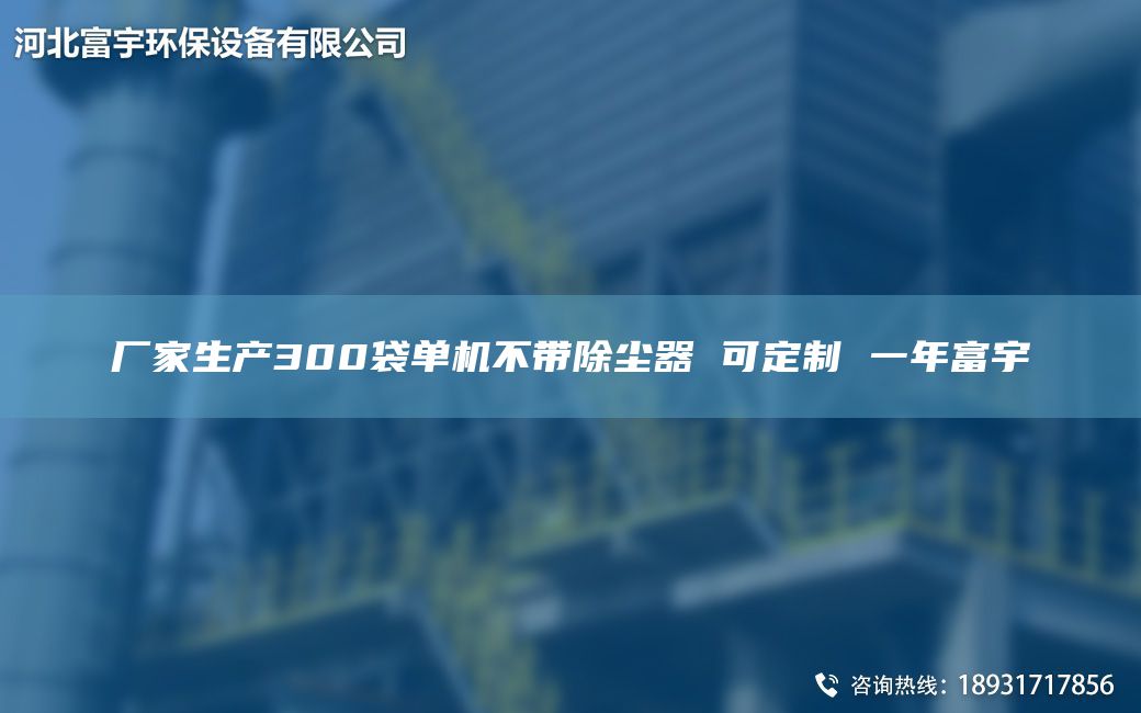 厂家生产300袋单机不带除尘器 可定制 一NA富宇