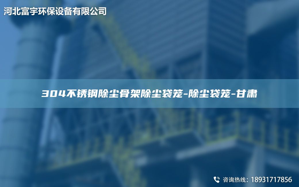 304不锈钢除尘骨架除尘袋笼-除尘袋笼-甘肃
