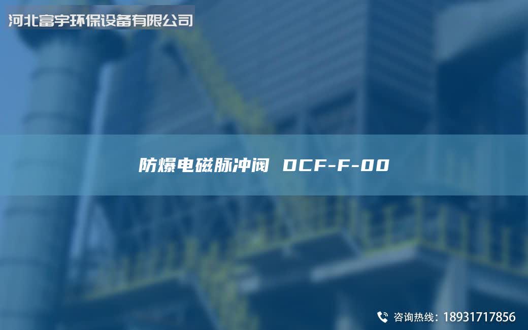 防爆电磁脉冲阀 DCF-F-00