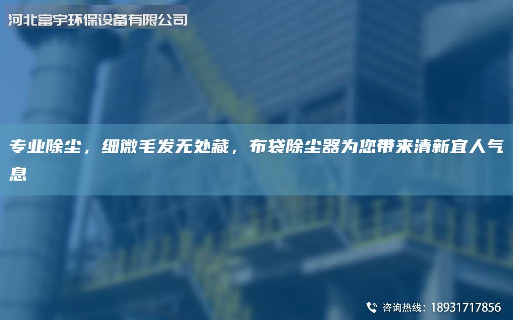 专业除尘，细微毛发无处藏，布袋除尘器为您带来清新宜人气息