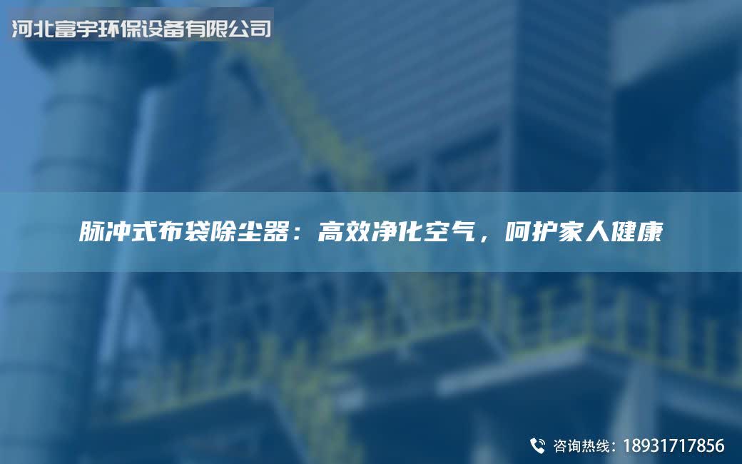 脉冲式布袋除尘器：高效净化空气，呵护家人健康