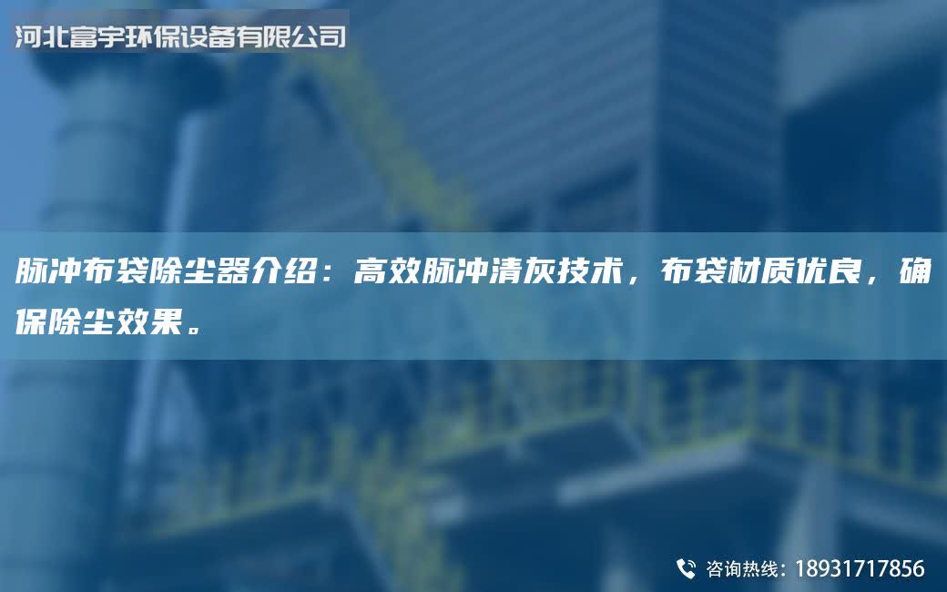 脉冲布袋除尘器介绍：高效脉冲清灰技术，布袋材质优良，确保除尘效果。