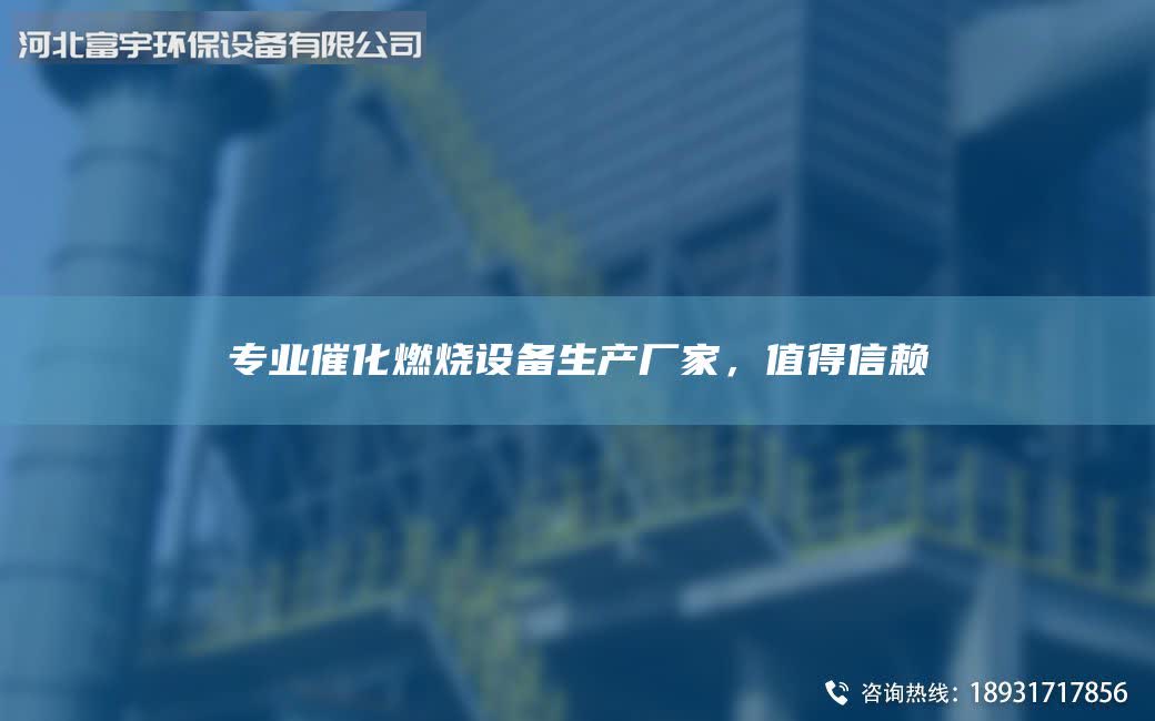 专业催化燃烧设备生产厂家，值得信赖