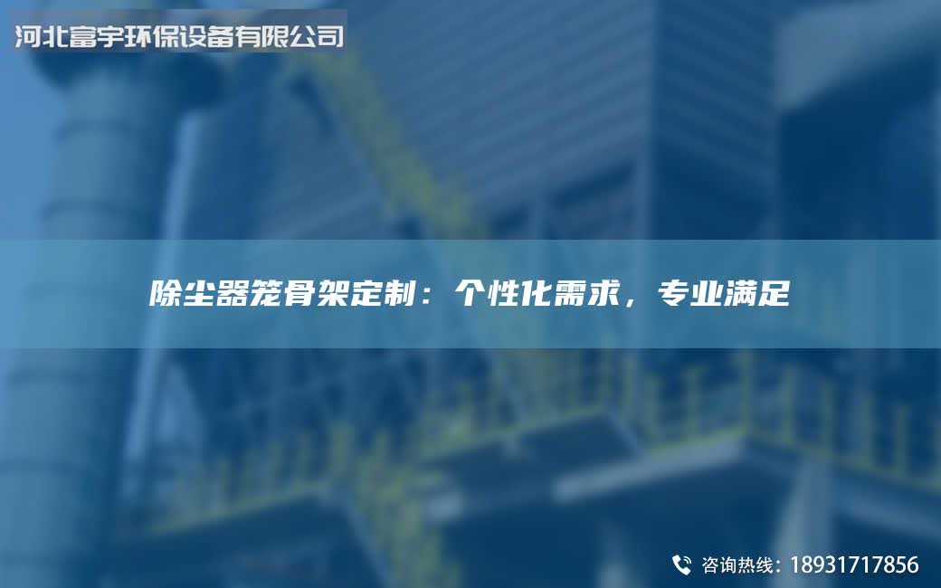 除尘器笼骨架定制：个性化需求，专业满足