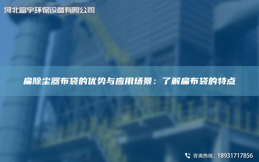 扁除尘器布袋的优势与应用场景：了解扁布袋的特点