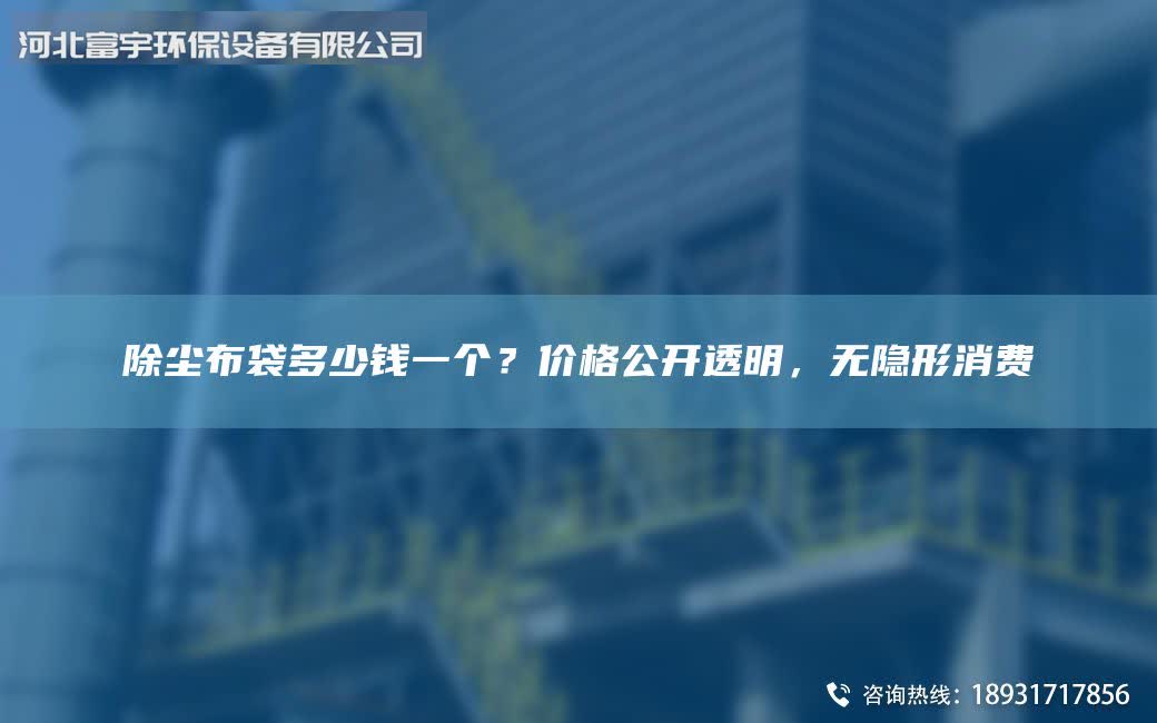 除尘布袋多少钱一个？价格公开透明，无隐形消费