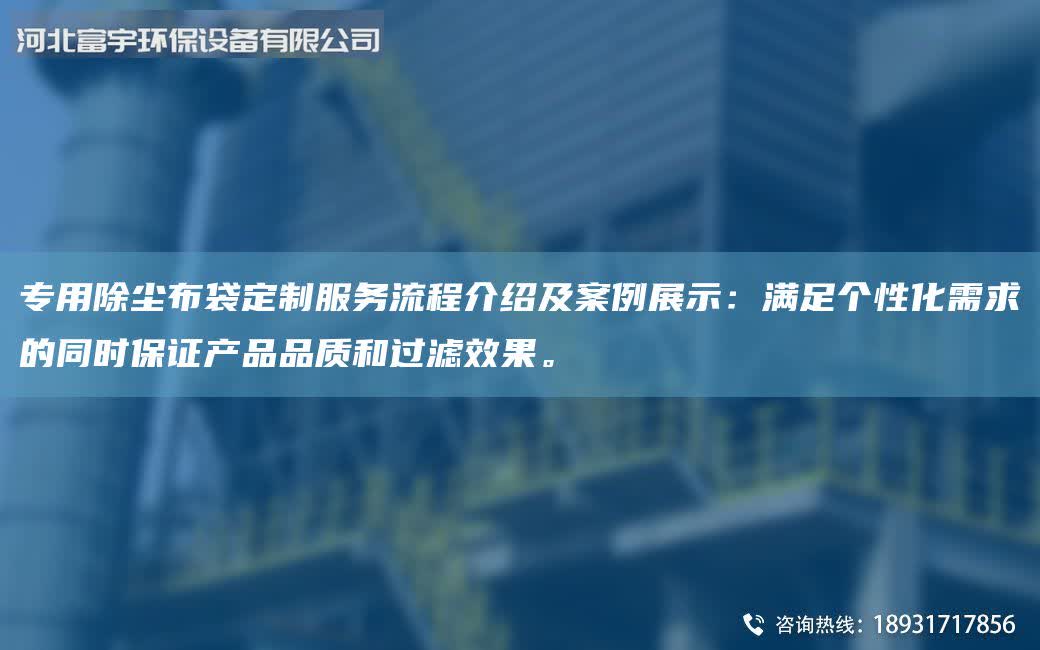 专用除尘布袋定制服务流程介绍及案例展示：满足个性化需求的同时保证产品品质和过滤效果。