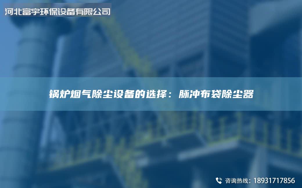 锅炉烟气除尘设备的选择：脉冲布袋除尘器