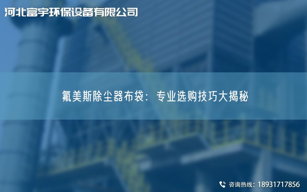 氟美斯除尘器布袋：专业选购技巧大揭秘