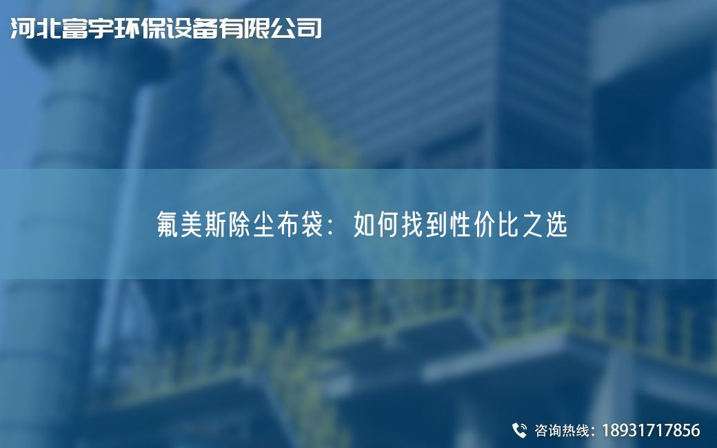 氟美斯除尘布袋：如何找到性价比之选